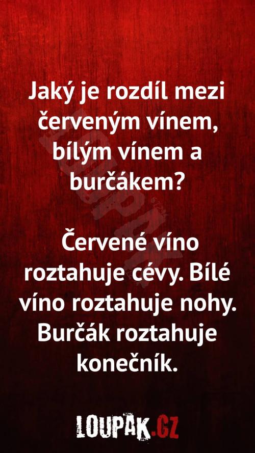  Rozdíl mezi červeným a býlím vínem a burčákem 