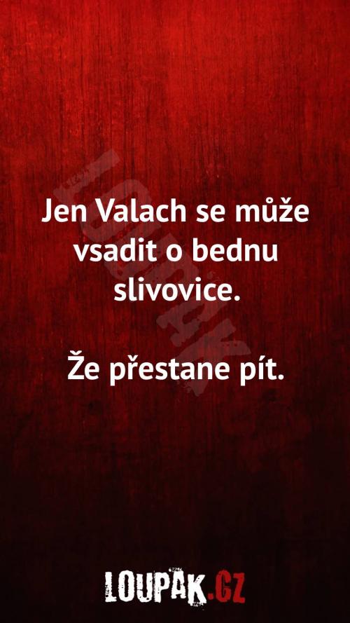  Proč se Jen Valach může vsadit o bednu slivovice 