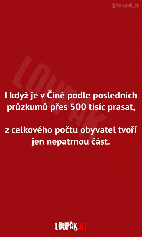  Průzkumy v Číně...   