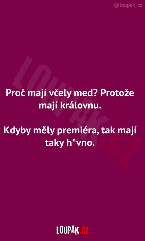  Proč tedy mají včely med 