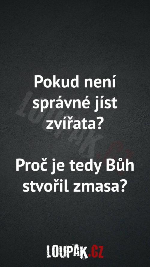  Proč není správné jíst zvířata 