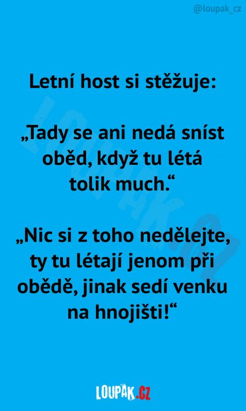 Otravné mouchy u oběda...