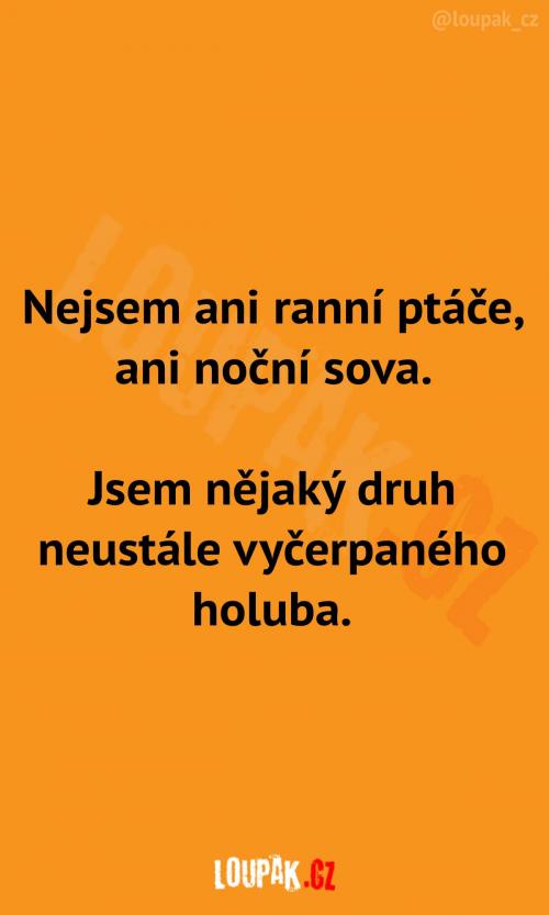  Nejsem ani jedno z toho 