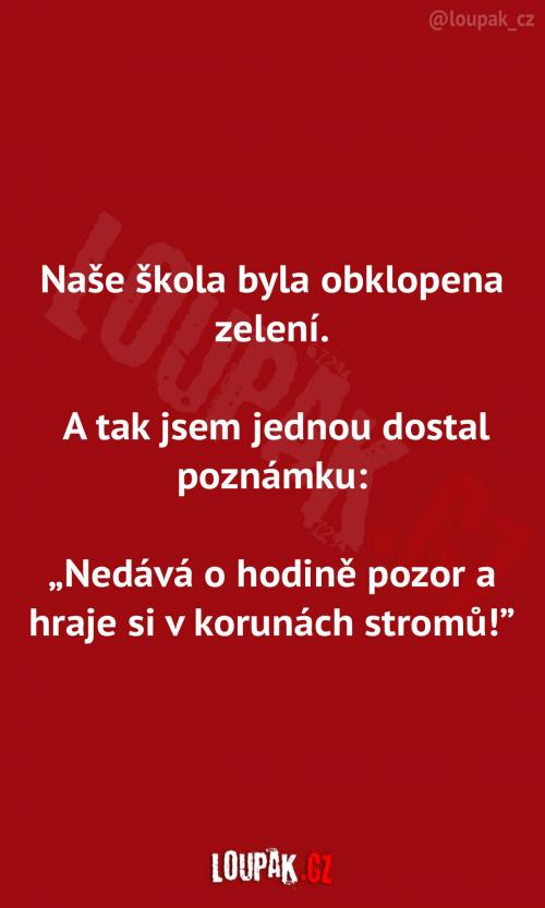 Krásná poznámka ze školy 