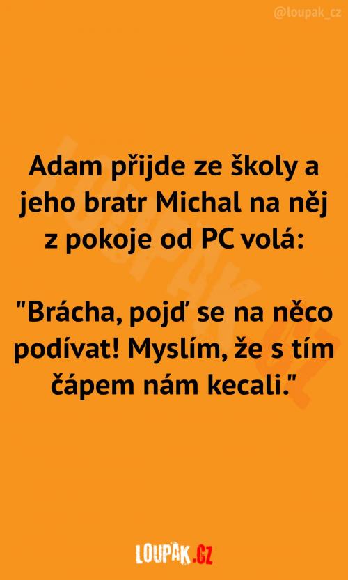 Brácha objevil nečekané překvapení
