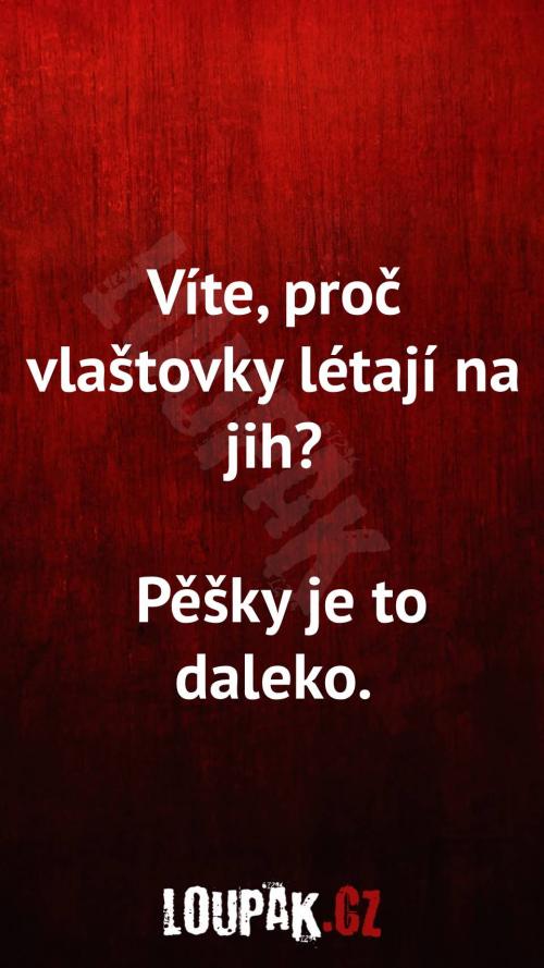  Proč vlaštovky létají na jih 