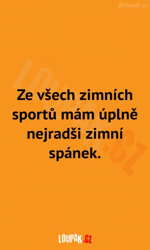 Můj nejoblíbenější zimní sport Můj nejoblíbenější zimní sport