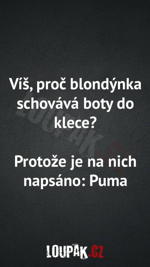  Proč blondýnka schovává boty do klece 