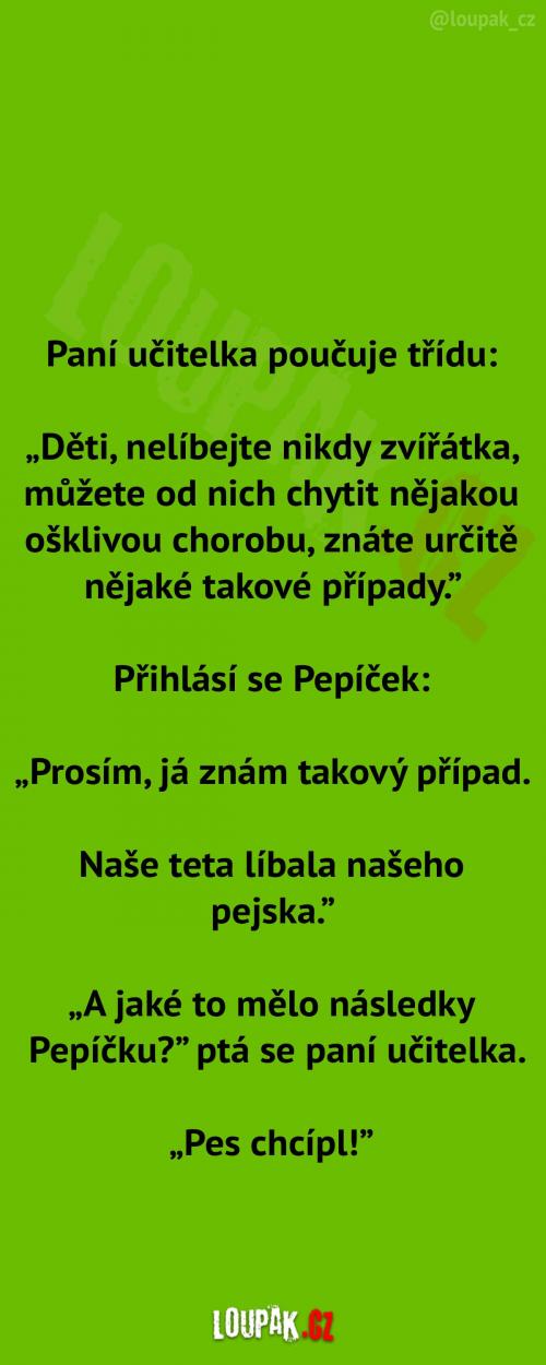  Poučování dětí ve škole  