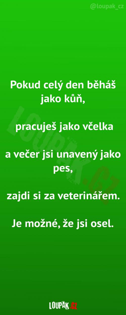  Když je někdo tak trochu zvíře 