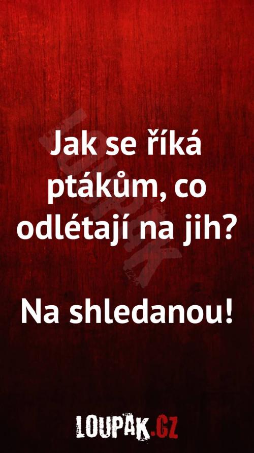  Jak se říká ptákům, co odlétají na jih 