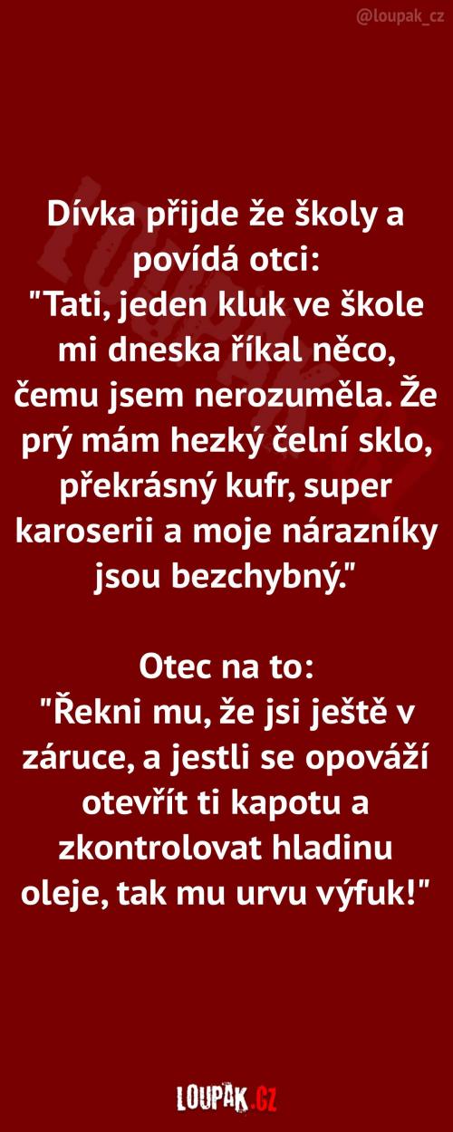  Okouzlila ho jako auto 