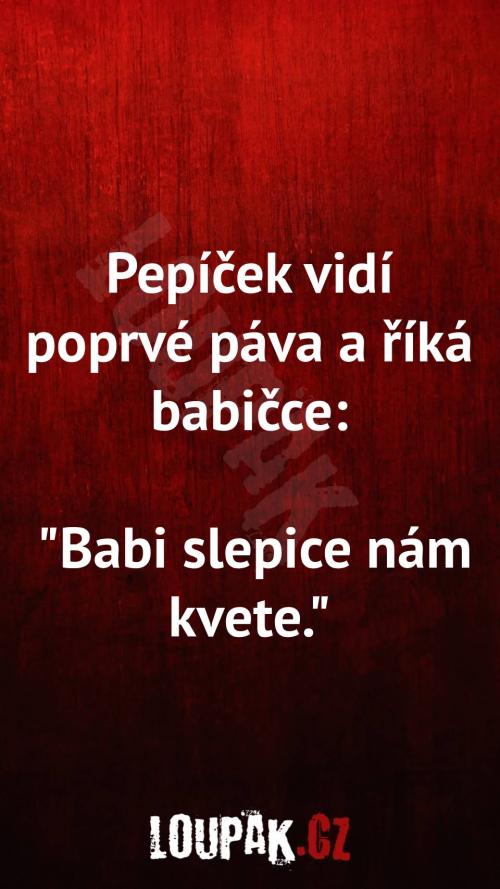  Proč poprvé vidí páva 