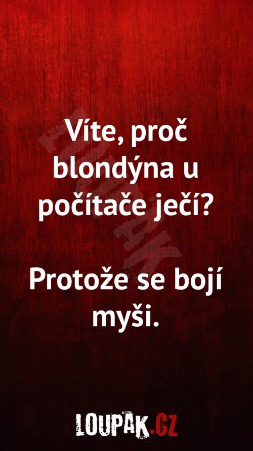 Proč blondýnka ječí u počítače Proč blondýnka ječí u počítače