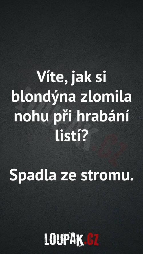 Jak si blondýna zlomila nohu při hrabání listí Jak si blondýna zlomila nohu při hrabání listí