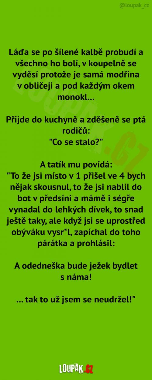 To ráno po šílené kalbě... To ráno po šílené kalbě...