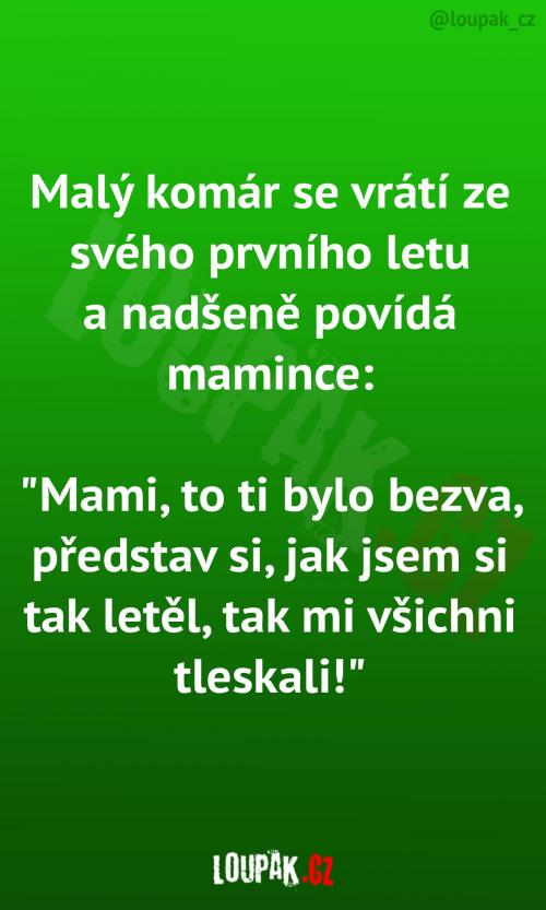 Malý komár po svém prvním náletu Malý komár po svém prvním náletu