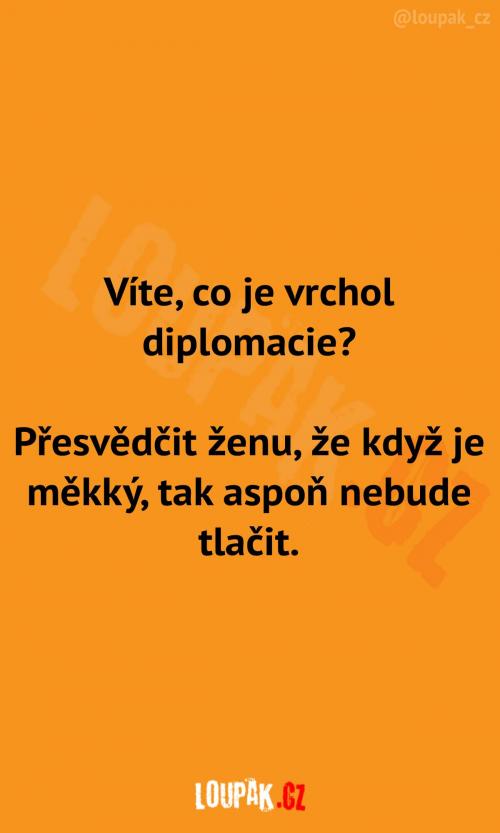  Co je vrchol diplomacie 