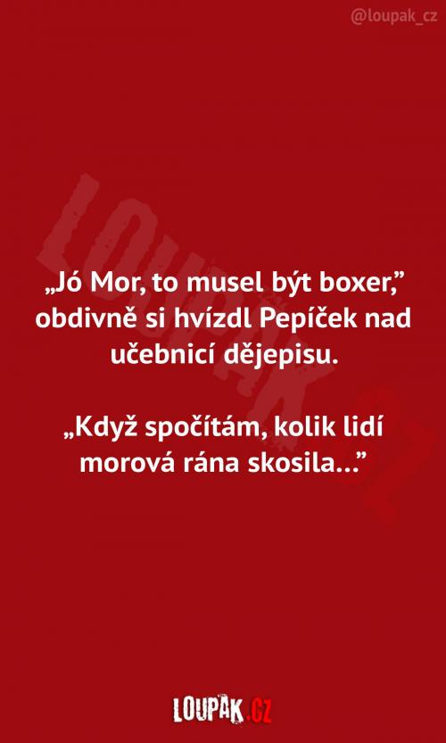 Nejlepší boxer Mor Nejlepší boxer Mor