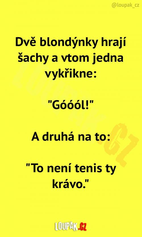  Když blondýnky hrají šachy 