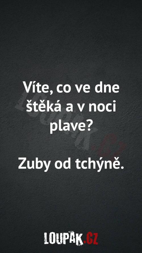 Co ve dnes štěká a v noci plave Co ve dnes štěká a v noci plave