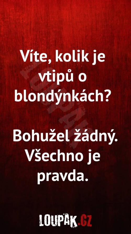  Kolik je vtipů o blondýnkách 
