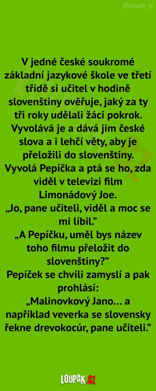 V české soukromé škole V české soukromé škole