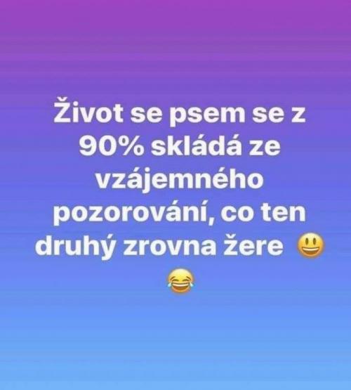  Tohle je život se psem 