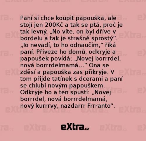  Paní si chce koupit papouška 