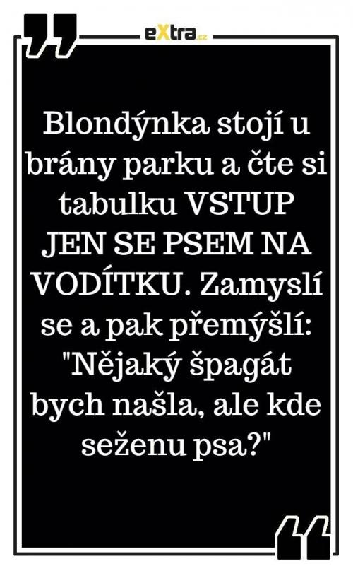  Blondýnky stojí u brány parku 