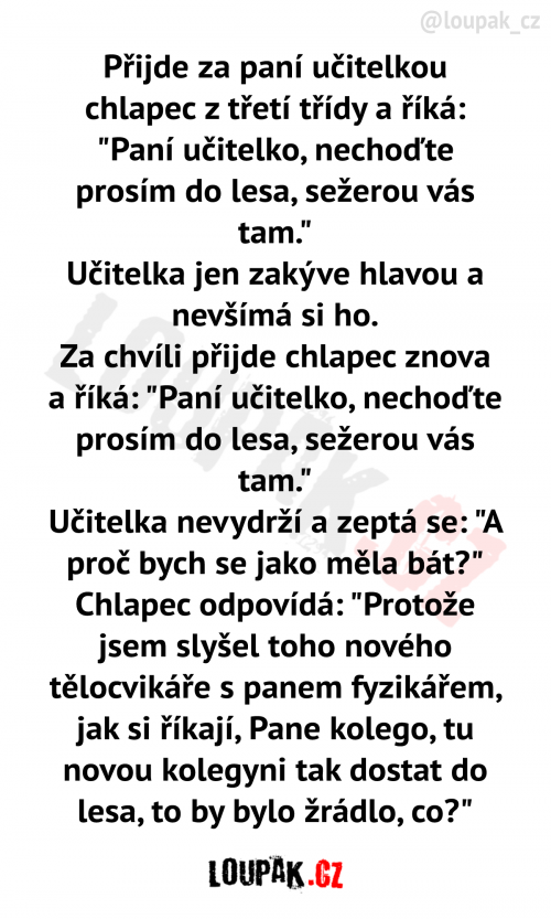  Příjde za paní učitelkou chlapec 