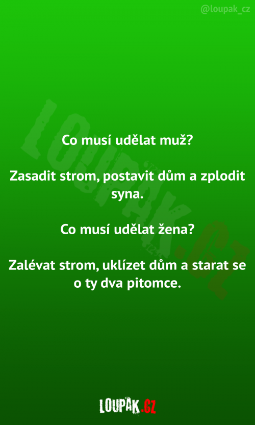  Co musí udělat muž vs. žena 