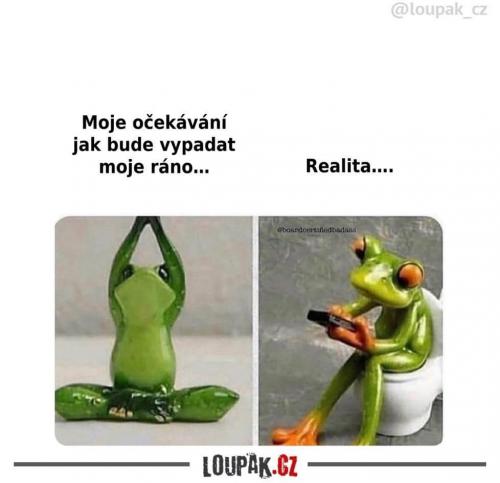  Moje očekávání 