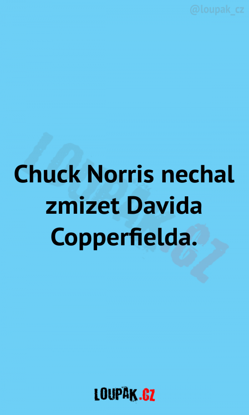  Chuck Norris nechal… 