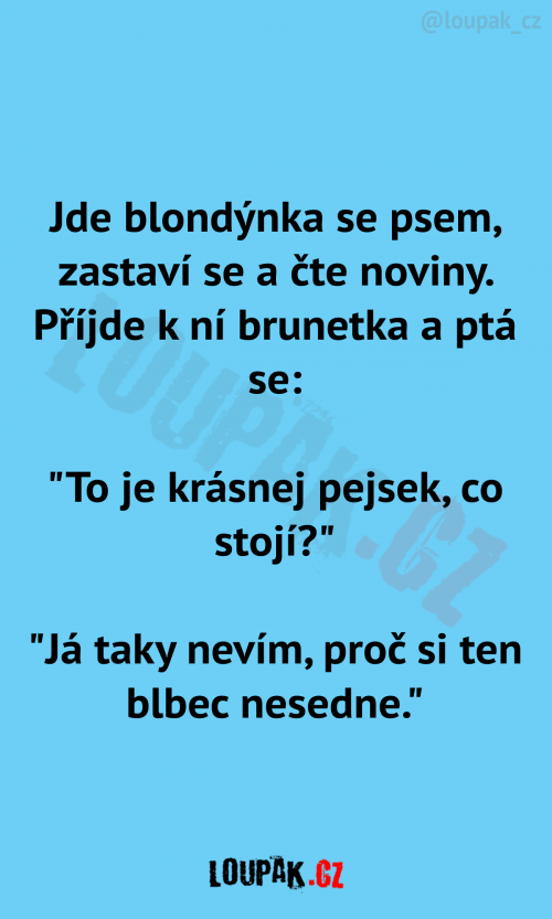  Jde blondýna se psem… 