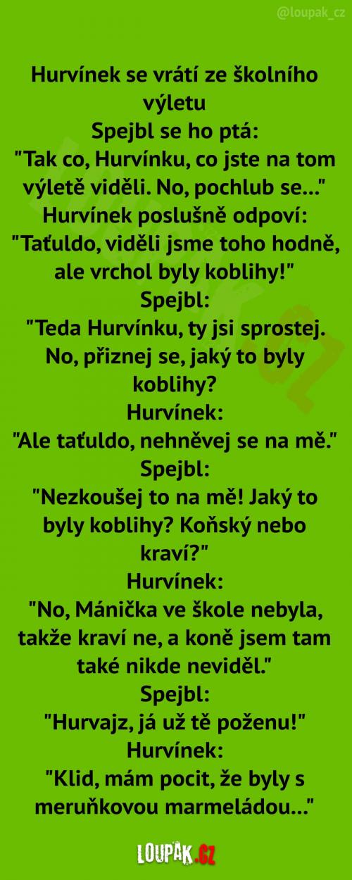 Hurvínek na školním výletě