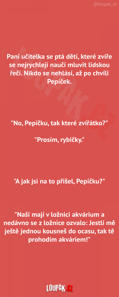  Paní učitelka se ptá dětí 