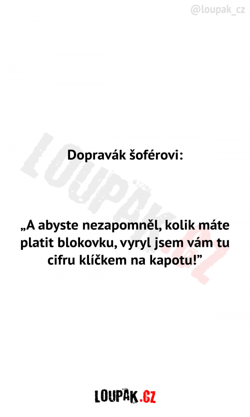  Dopravák říká šoférovi 