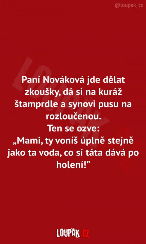  Závěrečné zkoušky paní Novákové 