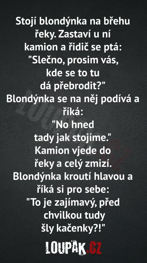  Jak to té blondýnce jen vysvětlit? 