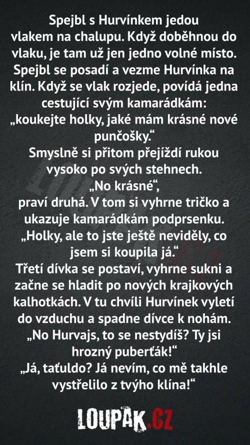 Spejbl s Hurvínkem jedou na chalupu.