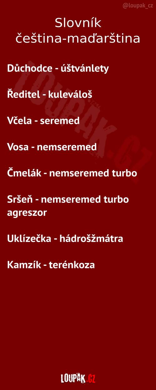  Slovník čeština-maďarština 