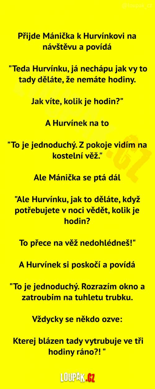 Mánička u Hurvínka.. 
