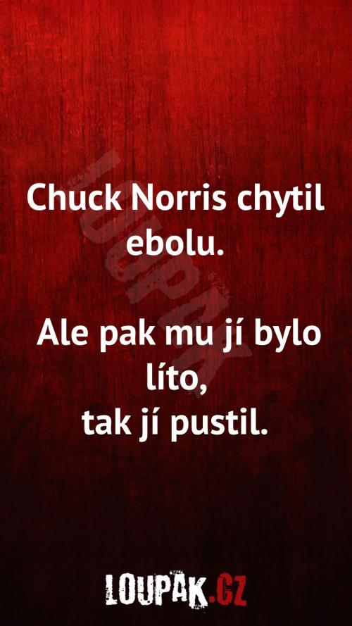  Chuck Norris chytil ebolu 