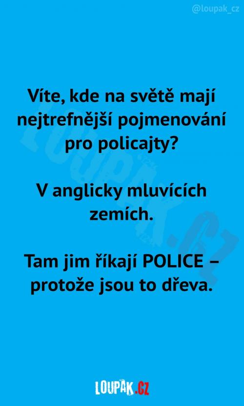  Nejtrefnější pojmenování pro policajty 