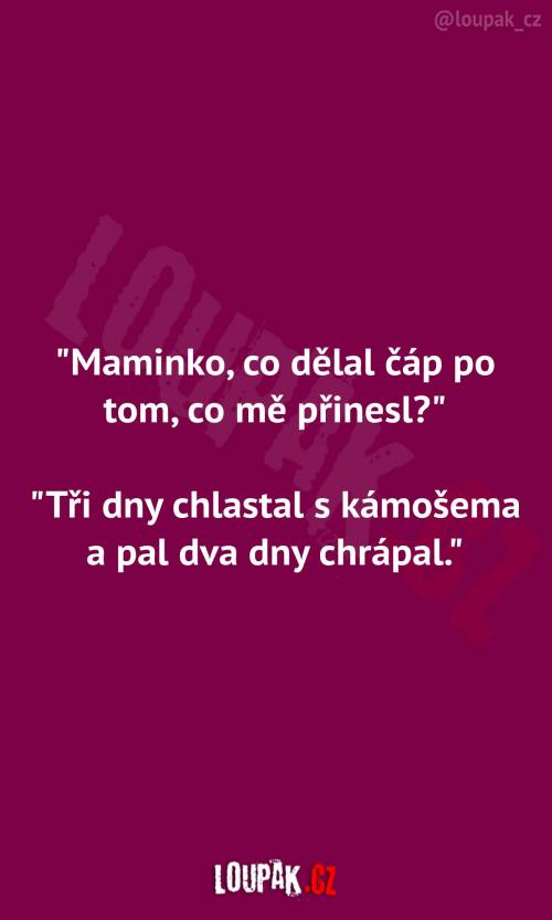 Co dělal čáp po přinesení
