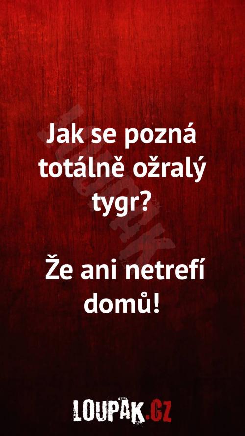  Jak poznáte totálně ožralý tygry 