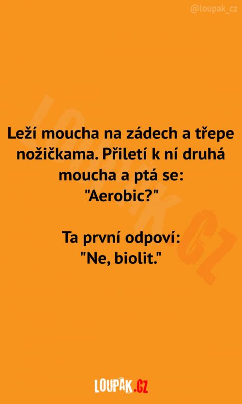  Trochu jiná pohybová aktivita 