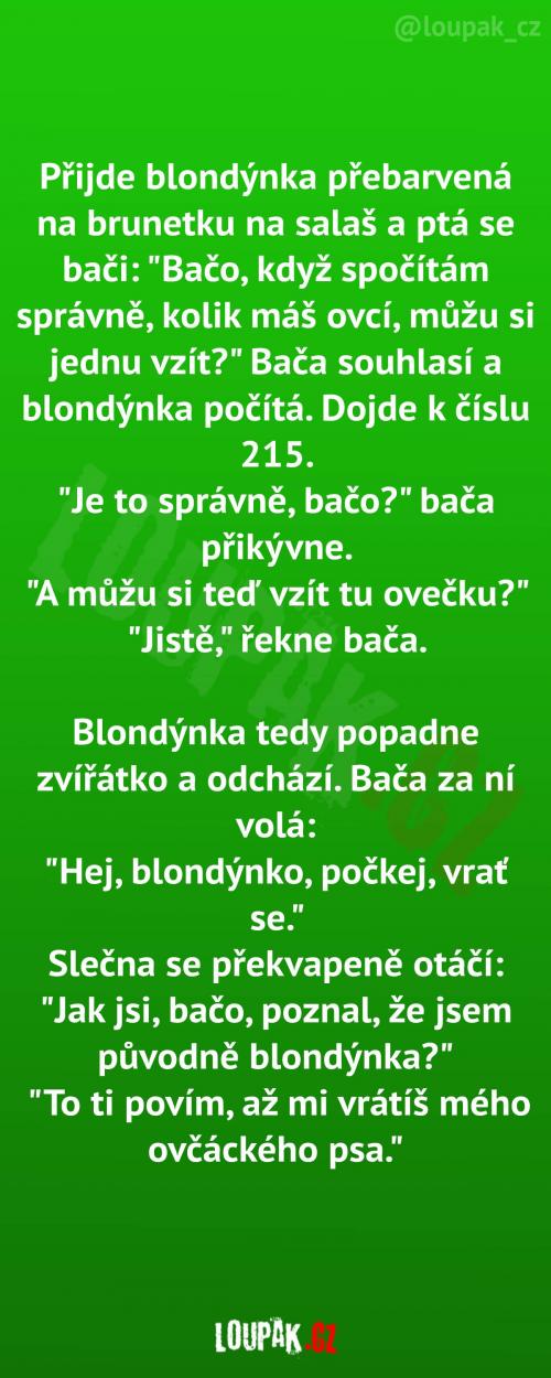 Správně vypočítala, špatně si vybrala