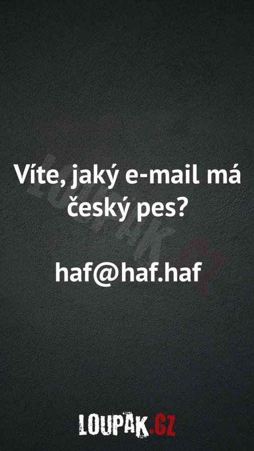  Jaký e-mail má český pes 